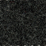 Pugirg Fenice 1238.jpg